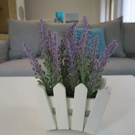 Appartement Sea Life *